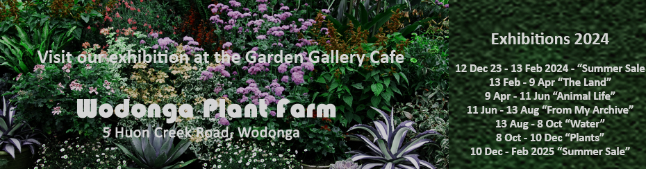 Plant Farm Exhibitions